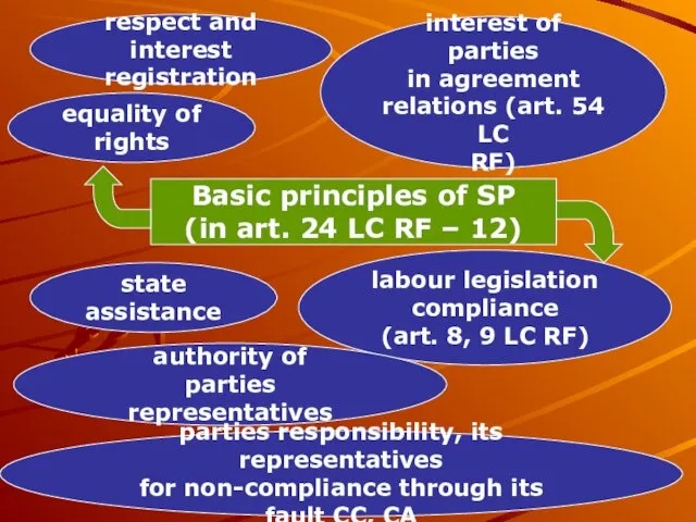 Basic principles of SP (in art. 24 LC RF –