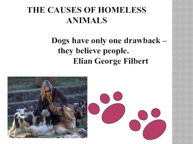 THE CAUSES OF HOMELESS ANIMALS Dogs have only one drawback