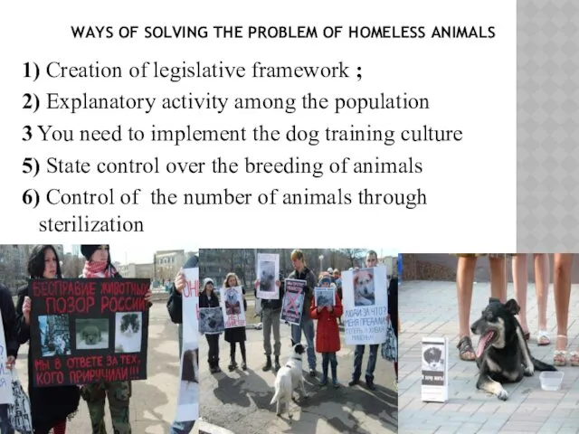 WAYS OF SOLVING THE PROBLEM OF HOMELESS ANIMALS 1) Creation