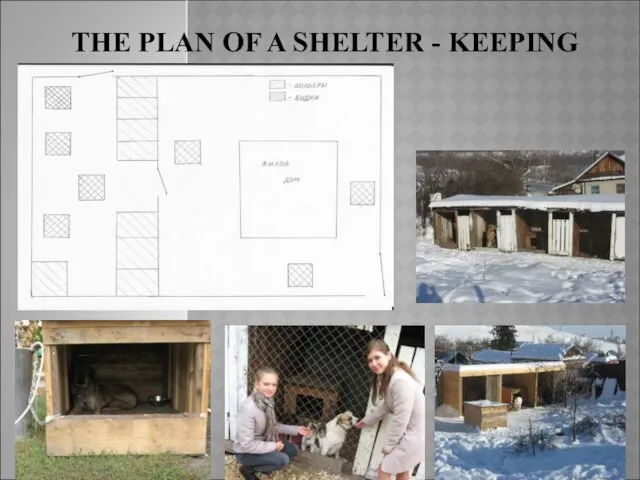 THE PLAN OF A SHELTER - KEEPING