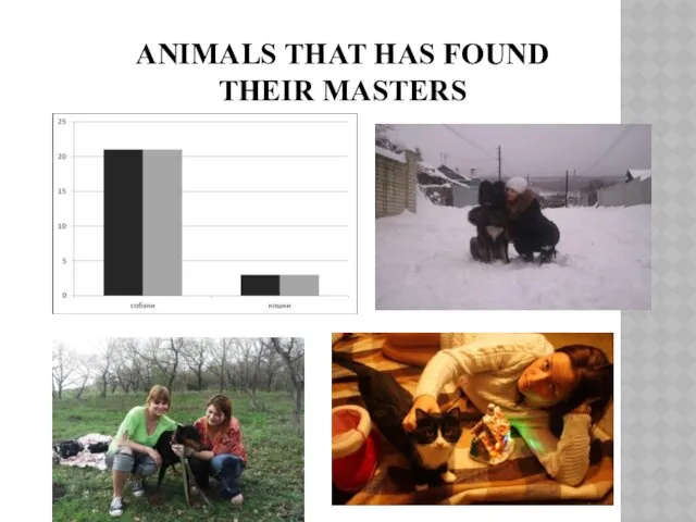 ANIMALS THAT HAS FOUND THEIR MASTERS