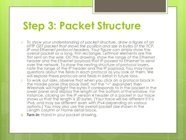 Step 3: Packet Structure To show your understanding of packet