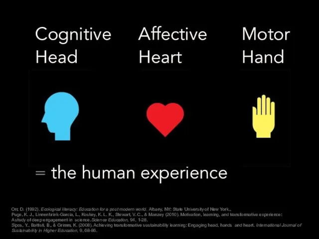 Cognitive Affective Motor Head Heart Hand = the human experience