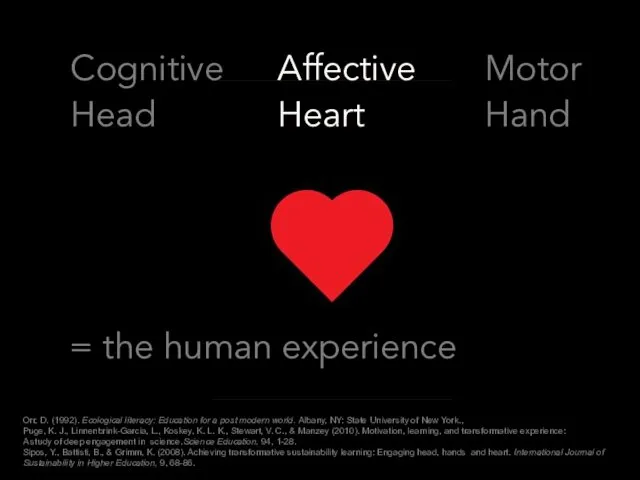 Cognitive Affective Motor Head Heart Hand = the human experience