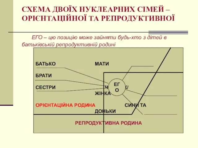 СХЕМА ДВОЇХ НУКЛЕАРНИХ СІМЕЙ – ОРІЄНТАЦІЙНОЇ ТА РЕПРОДУКТИВНОЇ ЕГО – цю позицію може