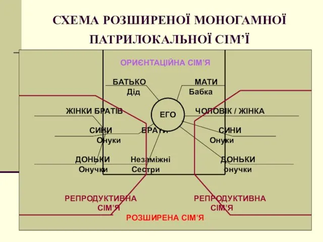 СХЕМА РОЗШИРЕНОЇ МОНОГАМНОЇ ПАТРИЛОКАЛЬНОЇ СІМ’Ї ОРИЄНТАЦІЙНА СІМ’Я БАТЬКО МАТИ Дід