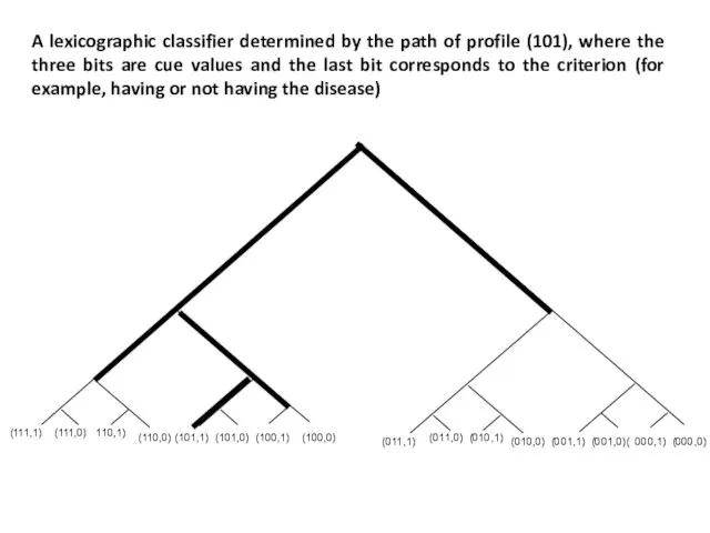 A lexicographic classifier determined by the path of profile (101),