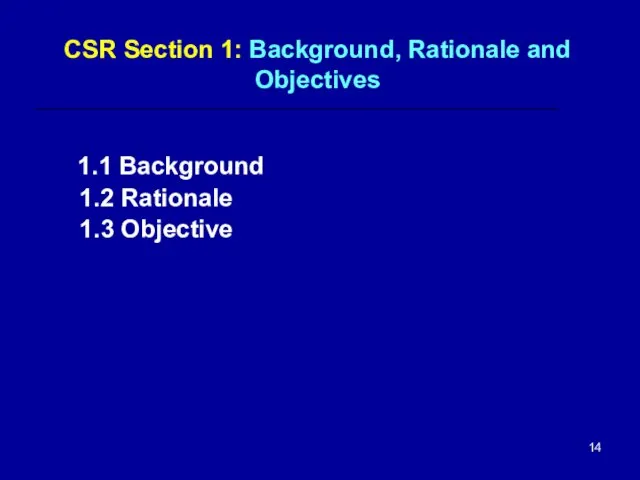 CSR Section 1: Background, Rationale and Objectives 1.1 Background 1.2 Rationale 1.3 Objective