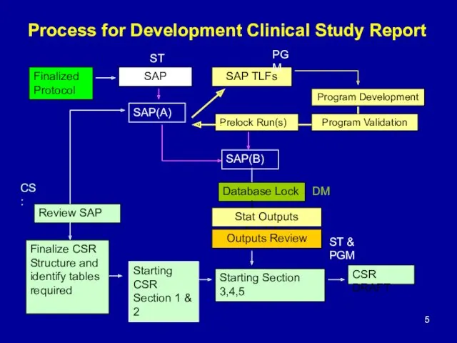 Process for Development Clinical Study Report Finalized Protocol SAP(A) Finalize CSR Structure and