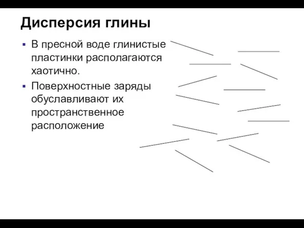 Дисперсия глины В пресной воде глинистые пластинки располагаются хаотично. Поверхностные заряды обуславливают их пространственное расположение