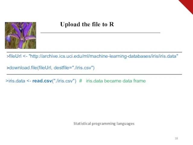 Statistical programming languages Upload the file to R >fileUrl >download.file(fileUrl, destfile="./iris.csv") iris.data