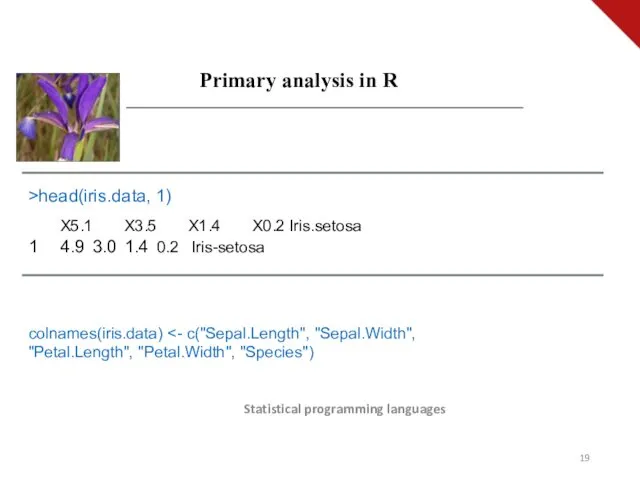 Statistical programming languages Primary analysis in R >head(iris.data, 1) X5.1 X3.5 X1.4 X0.2