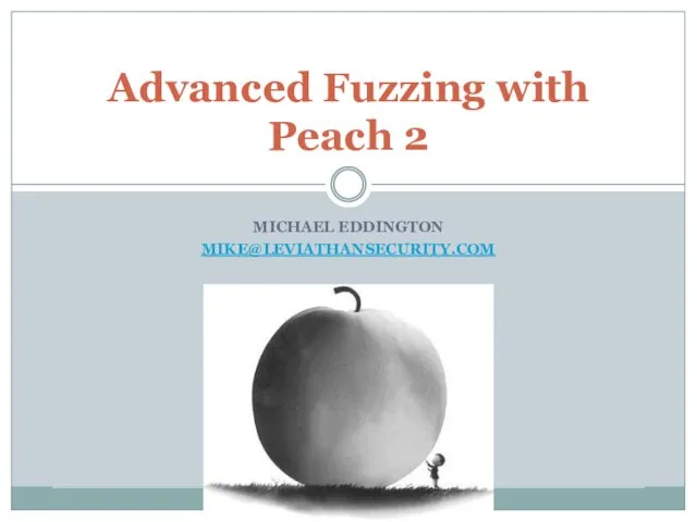 Advanced Fuzzing with Peach 2