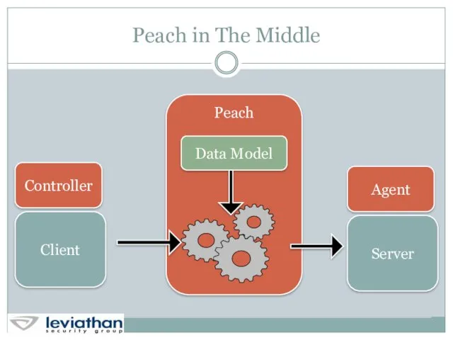 Peach in The Middle Client Server Peach Controller Agent Data Model