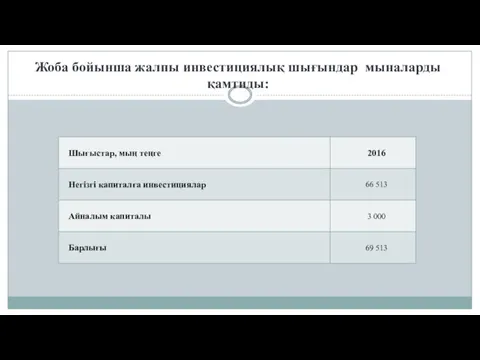 Жоба бойынша жалпы инвестициялық шығындар мыналарды қамтиды: