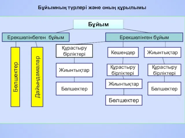 Бұйымның түрлерi және оның құрылымы Бұйым Ерекшелінбеген бұйым Ерекшелінген бұйым