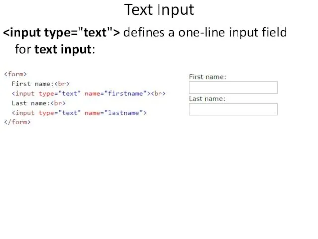 Text Input defines a one-line input field for text input: