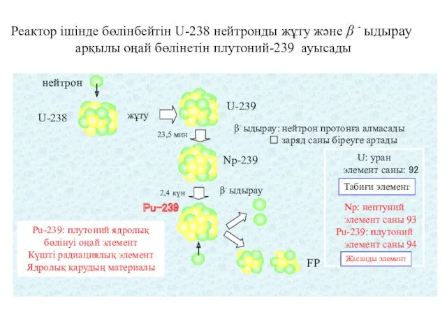 Pu-239: плутоний ядролық бөлінуі оңай элемент Күшті радиациялық элемент Ядролық