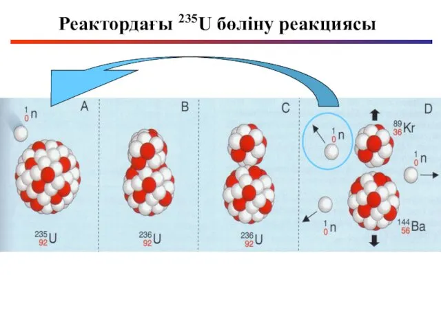 Реактордағы 235U бөліну реакциясы