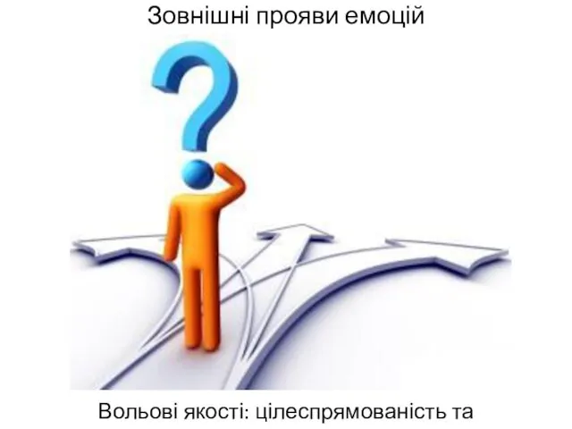 Зовнішні прояви емоцій Вольові якості: цілеспрямованість та ініціативність