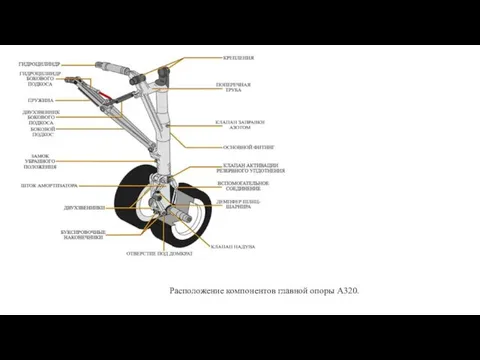 Расположение компонентов главной опоры А320.