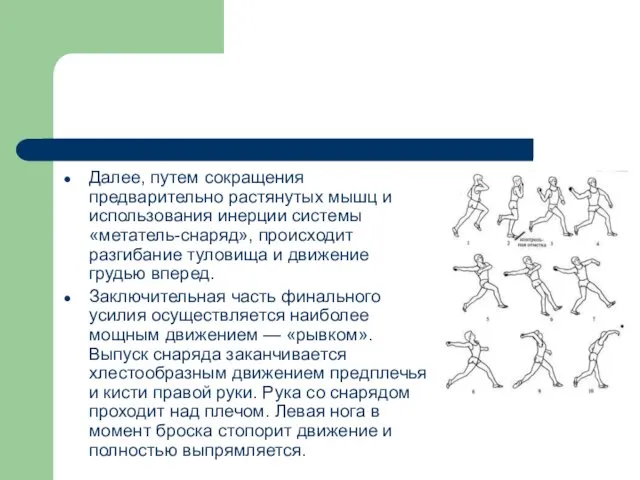 Далее, путем сокращения предварительно растянутых мышц и использования инерции системы