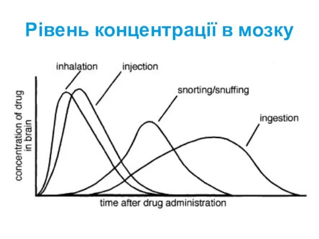 Рівень концентрації в мозку