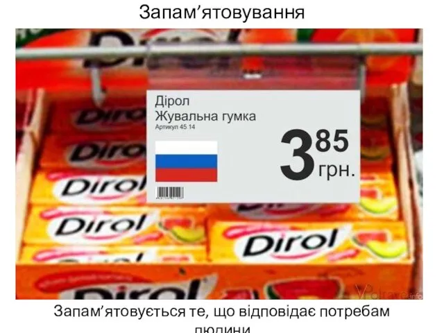 Запам’ятовування Запам’ятовується те, що відповідає потребам людини