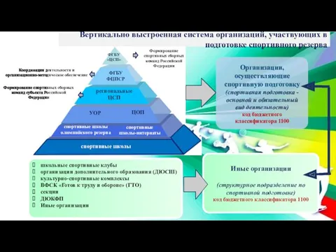 Вертикально выстроенная система организаций, участвующих в подготовке спортивного резерва Организации,