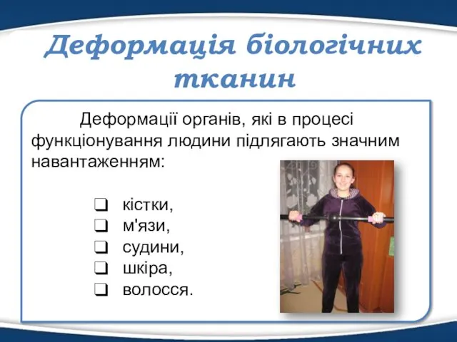 Деформація біологічних тканин Деформації органів, які в процесі функціонування людини