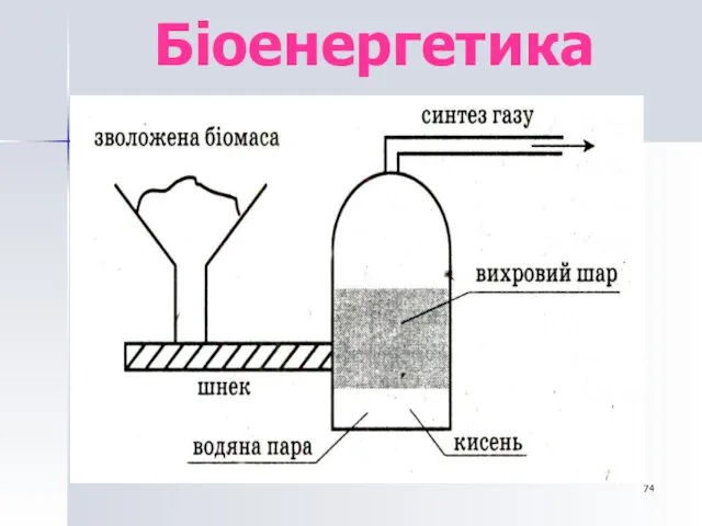 Біоенергетика