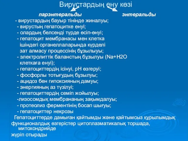 Вирустардың ену көзі парэнтеральды энтеральды - вирустардың бауыр тінінде жиналуы;