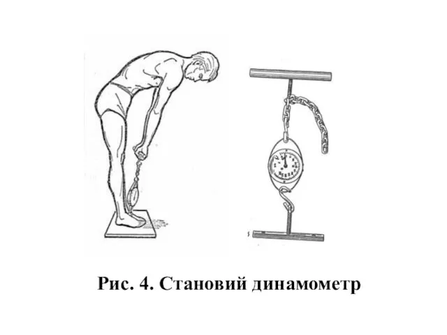 Рис. 4. Становий динамометр