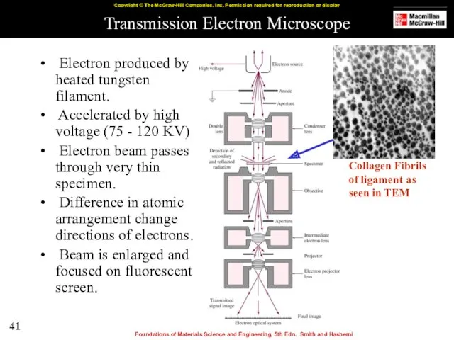 Transmission Electron Microscope Electron produced by heated tungsten filament. Accelerated