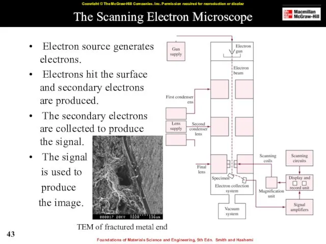 The Scanning Electron Microscope Electron source generates electrons. Electrons hit