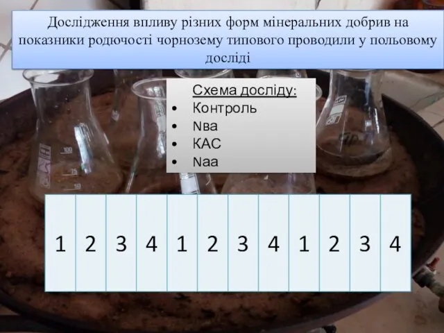 Дослідження впливу різних форм мінеральних добрив на показники родючості чорнозему