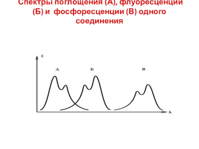 Спектры поглощения (А), флуоресценции (Б) и фосфоресценции (В) одного соединения