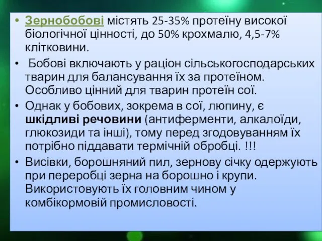 Зернобобові містять 25-35% протеїну високої біологічної цінності, до 50% крохмалю,