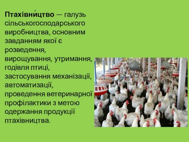 Птахівни́цтво — галузь сільськогосподарського виробництва, основним завданням якої є розведення,