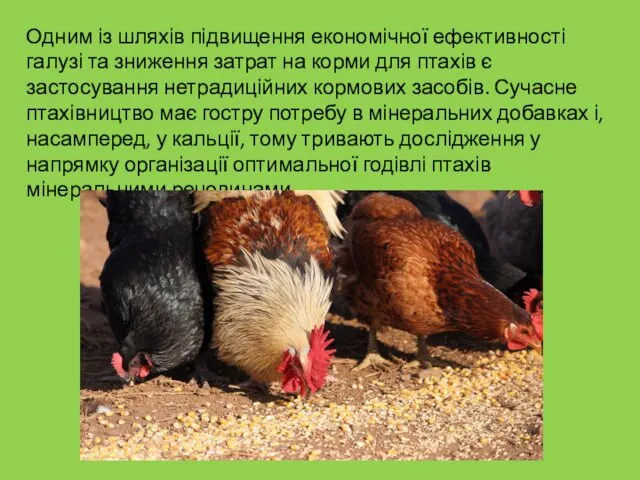 Одним із шляхів підвищення економічної ефективності галузі та зниження затрат