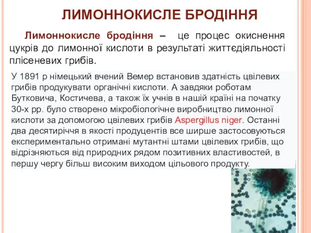 Лимоннокисле бродіння – це процес окиснення цукрів до лимонної кислоти