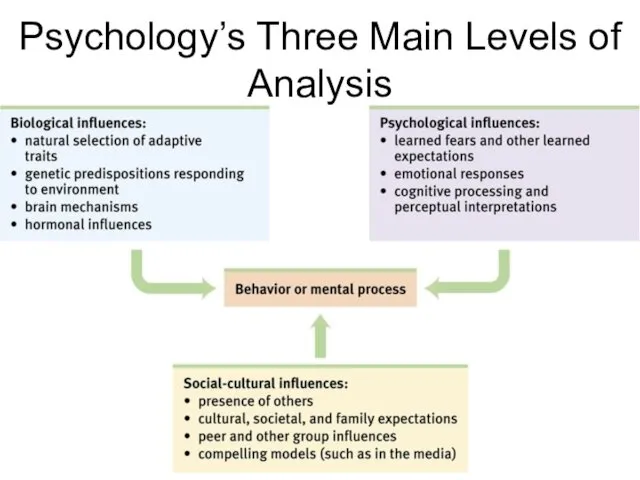 Psychology’s Three Main Levels of Analysis