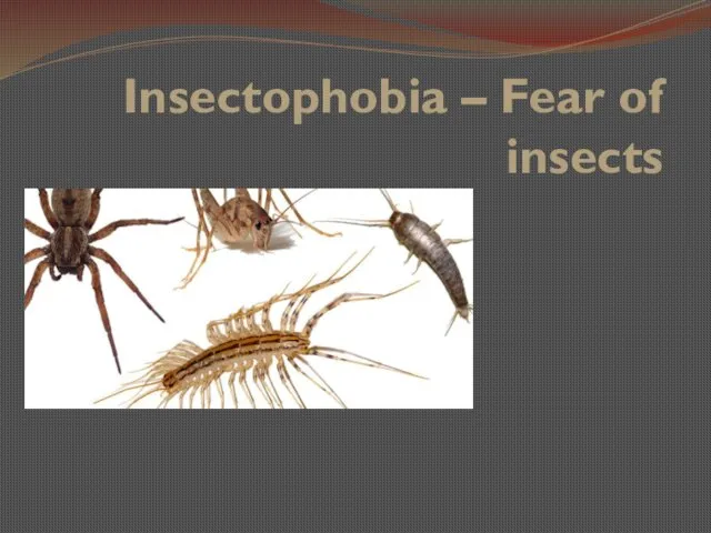 Insectophobia – Fear of insects