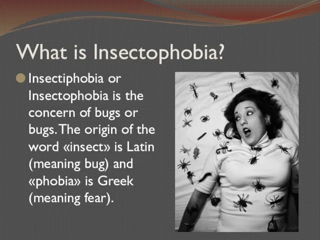 What is Insectophobia? Insectiphobia or Insectophobia is the concern of