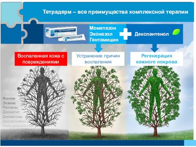 Регенерация кожного покрова Устранение причин воспаления Воспаленная кожа с повреждениями