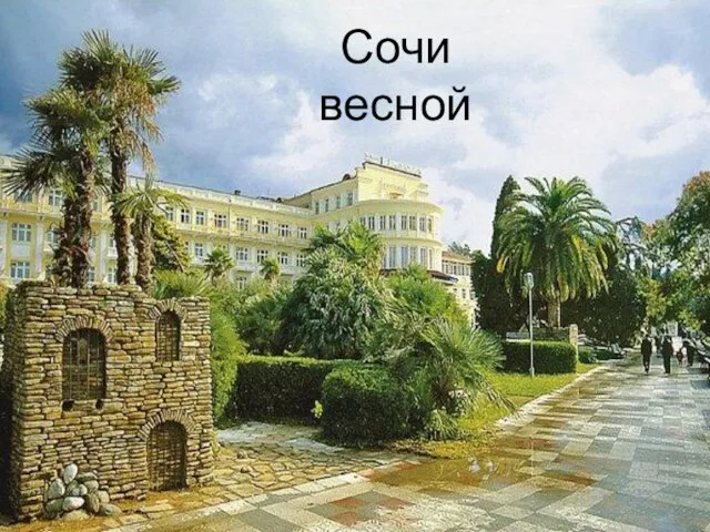 Сочи весной