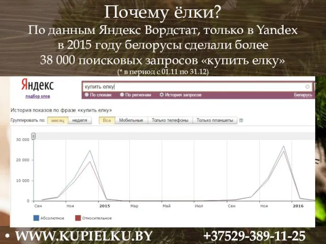 Почему ёлки? По данным Яндекс Вордстат, только в Yandex в 2015 году белорусы