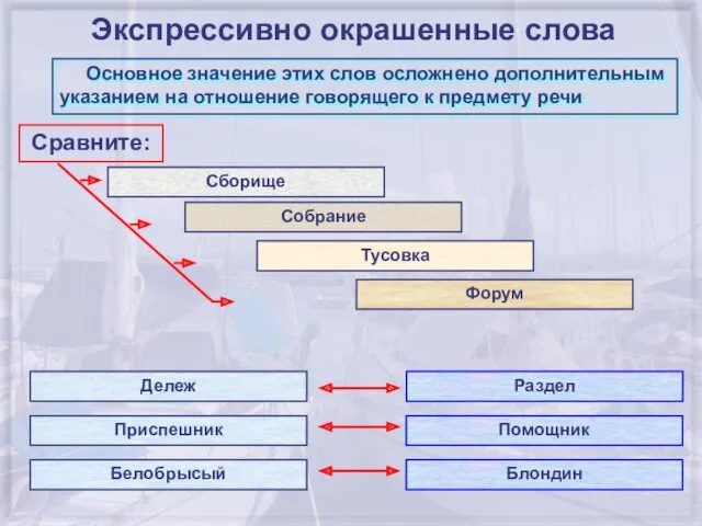 Экспрессивно окрашенные слова Основное значение этих слов осложнено дополнительным указанием