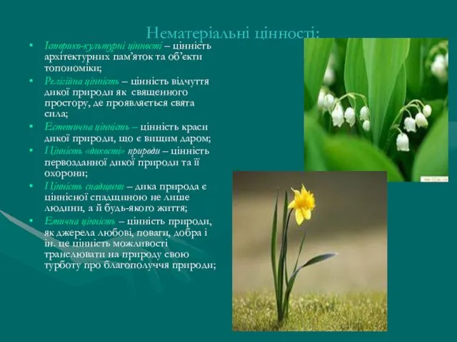 Нематеріальні цінності: Історико-культурні цінності – цінність архітектурних пам’яток та об’єкти