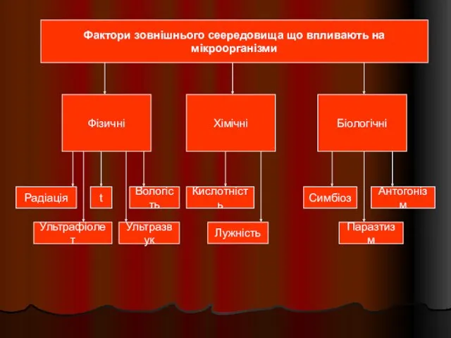 Фактори зовнішнього сеередовища що впливають на мікроорганізми Фізичні Хімічні Біологічні